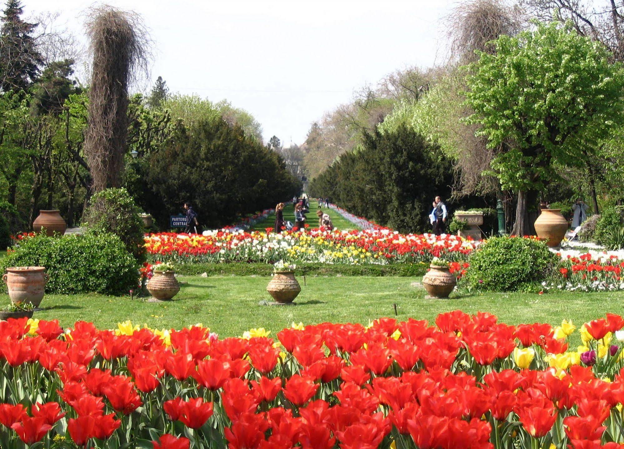 Central Park View Apartments 부쿠레슈티 외부 사진